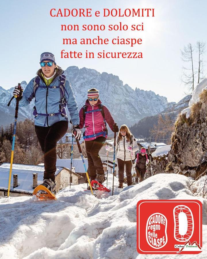 Villa Nani Pieve di Cadore Eksteriør bilde